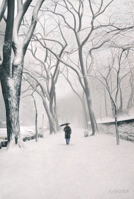 Fifth Avenue Snow