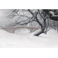 Central Park Snow 2013